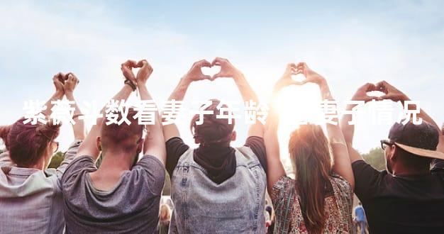 紫薇斗数看妻子年龄  看妻子情况